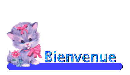 bienvenue